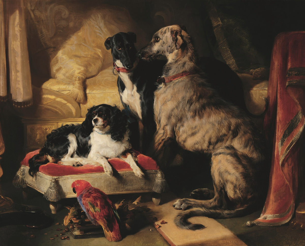 Hector, Nero and Dash with the Parrot Lory by Edwin Landseer
