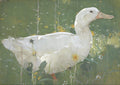 The White Drake by Joseph Crawhall, a white duck painted in gouache on brown linen