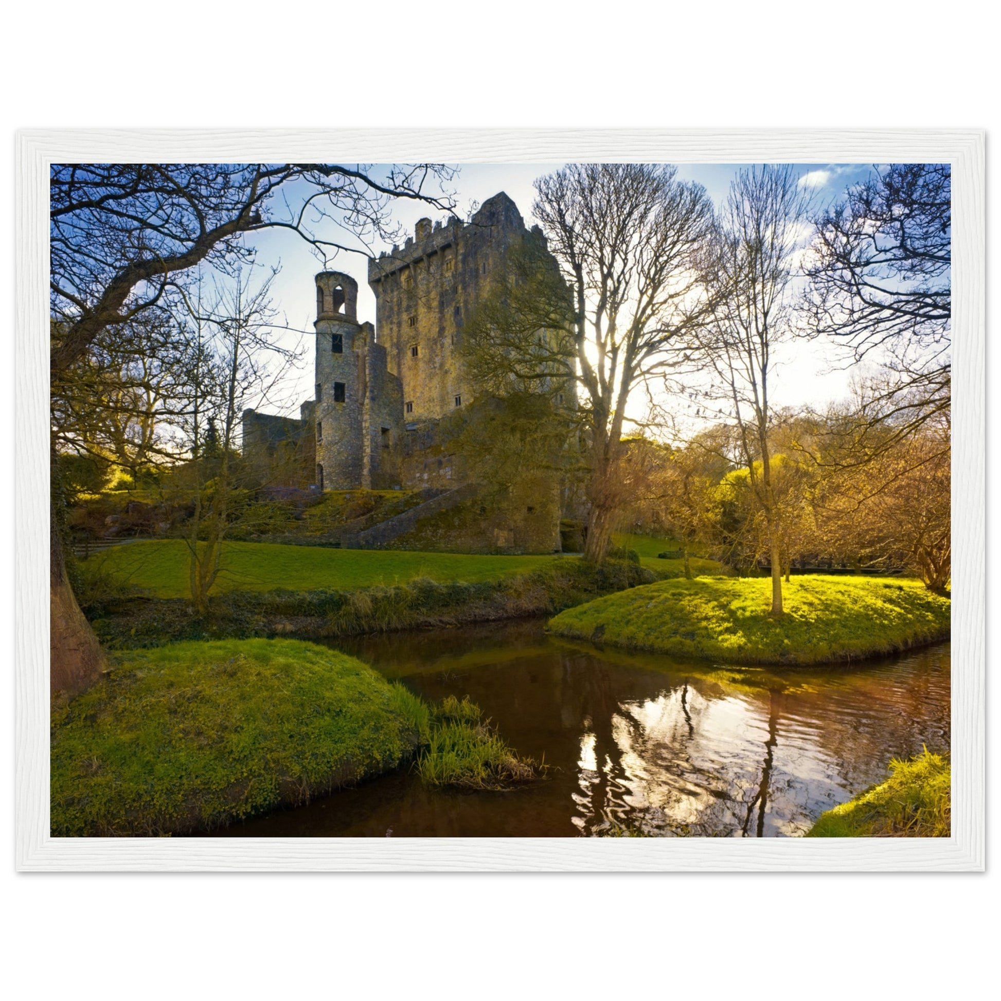 Blarney Castle framed print: Iconic Irish fortress, home to Blarney Stone. Meticulously crafted, transports you to historic grounds where myths intertwine. Delightful addition to home decor, bringing Ireland's spirit. Immerse in Blarney Castle's magic.